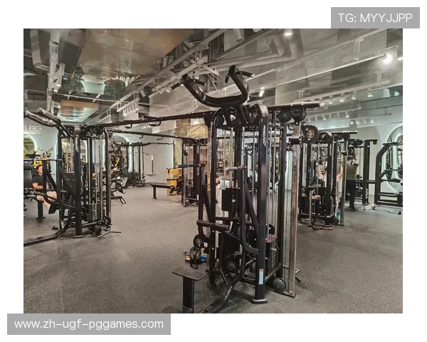 高端健身器材全景指南：提升训练效果的必备装备