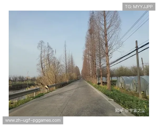 竞界赛事惊现互射乌龙第二条红线被突破引发行业深度反思